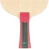 ButterFly Table Tennis Racket Fl Straight Pen Anatomical Model Mizutani Jun  Fl 