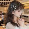 Mori Style Baby's Breath Hair Clip for Women - Korean Super Fairy Girl Bangs Side Hairpin