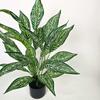 Diffenbachia Artificial Plant Flower In Pot 65