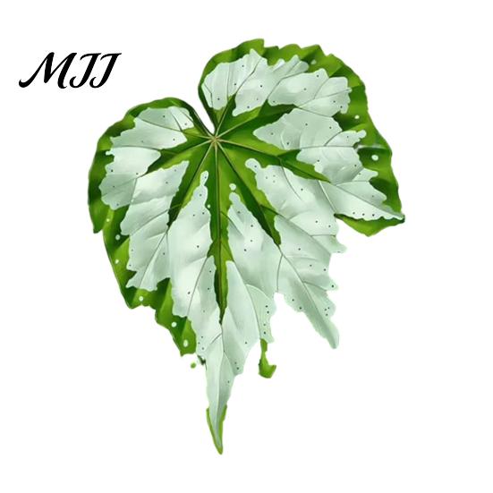 Plant Home Decor 3D Tropical Plants Refrigerator Magnet, Acrylic Green Decorative Fridge Metal Surface Magnet Memo Notes Photo Holder for Kitchen