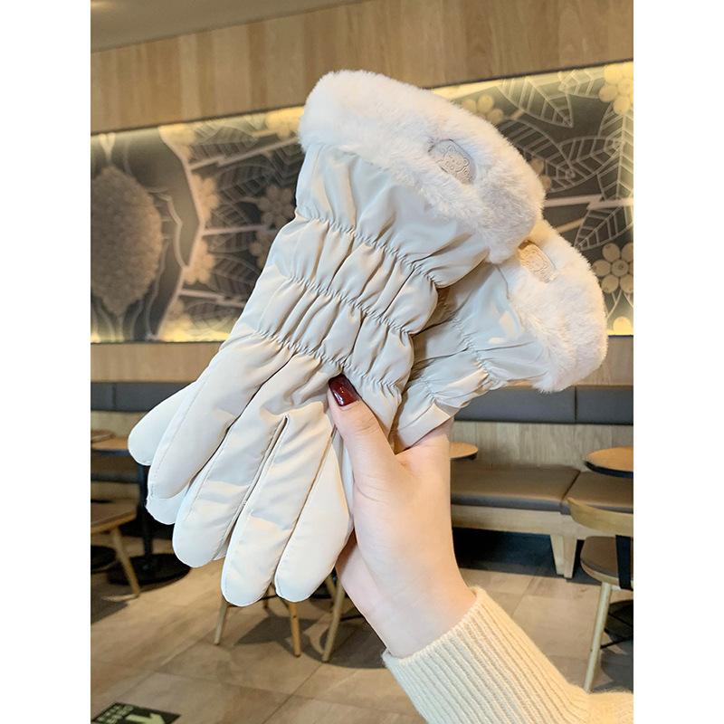 Gloves Women'S Season Warm Touch Screen Driving Riding Fleece Thickened Windproof Cotton Gloves Luggage