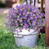 30cm Artificial Flower Daisy Anti-UV Non-fading Plastic Plant Home Decoration Window Outdoor Plastic Flower Wedding Decorations