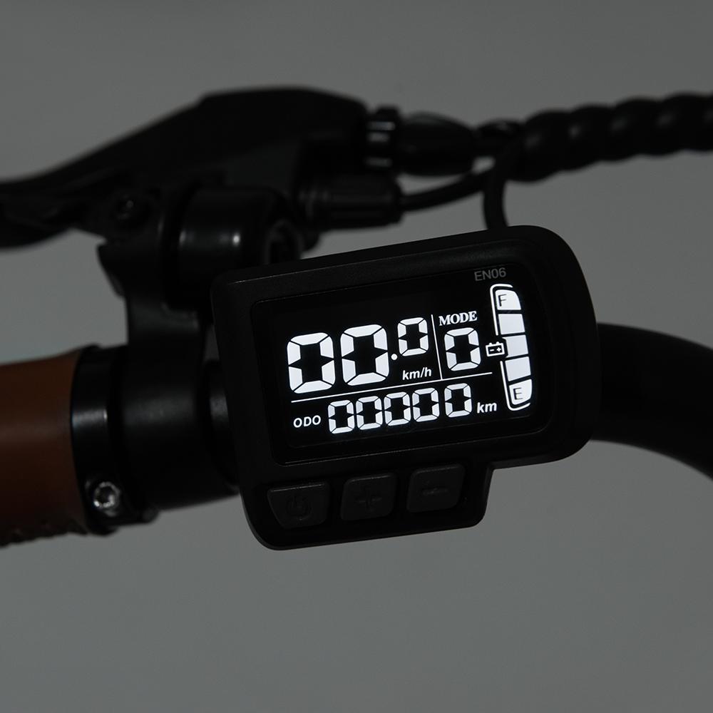 DYU C6 Pro City E-Bike 250W Motor 36V15.6AH Removable Battery Electric Bike 26 Inch Tire Fashion Version City Adult Electric Bicycle