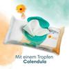 Pampers Harmony Calendula Wet Wipes (24x44) 1056
