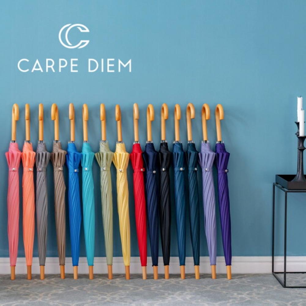 Carpe Diem Smart 60x12k Wood Curved Umbrella S011
