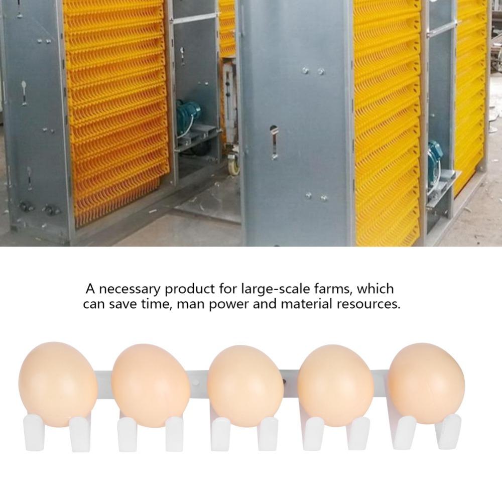 5pcs Durable Egg Picking Machine Accessory Chicken Egg Picking Machine Accessory  Large Scale Farms