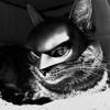 Halloween Bat Pet Mask Cat Dog Cool Black Cute Funny Spooky Fun Photo Prop Soft Accessory Toy Holiday Party Decor Creative Gifts