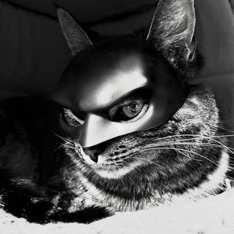 Halloween Bat Pet Mask Cat Dog Cool Black Cute Funny Spooky Fun Photo Prop Soft Accessory Toy Holiday Party Decor Creative Gifts
