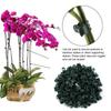 100pcs Garden Plant Clips Plastic Support Orchid Stem Clip for Vine Vegetables Flower Tied Bundle Branch Clamping Garden Tool