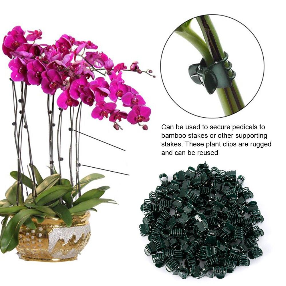 100pcs Garden Plant Clips Plastic Support Orchid Stem Clip for Vine Vegetables Flower Tied Bundle Branch Clamping Garden Tool