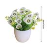 Artificial Money Chrysanthemum Plant Home Decor Faux Flower Pot Indoor Outdoor Decorative Arrangement Table Centerpiece Gift