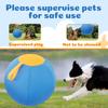 Herding Ball for Dogs Interactively Dogs Outdoor Inflatable Ball Toy Durably Physical Activity Training Self Play Toy Dog Toy