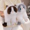 The Simulation Will Be Called Ragdoll Cat Doll Plush Toy Kitten Doll Girl Ragdoll Birthday Gift