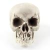 Splendid human skull model Halloween venue layout props, haunted house decoration horror ornaments, skulls