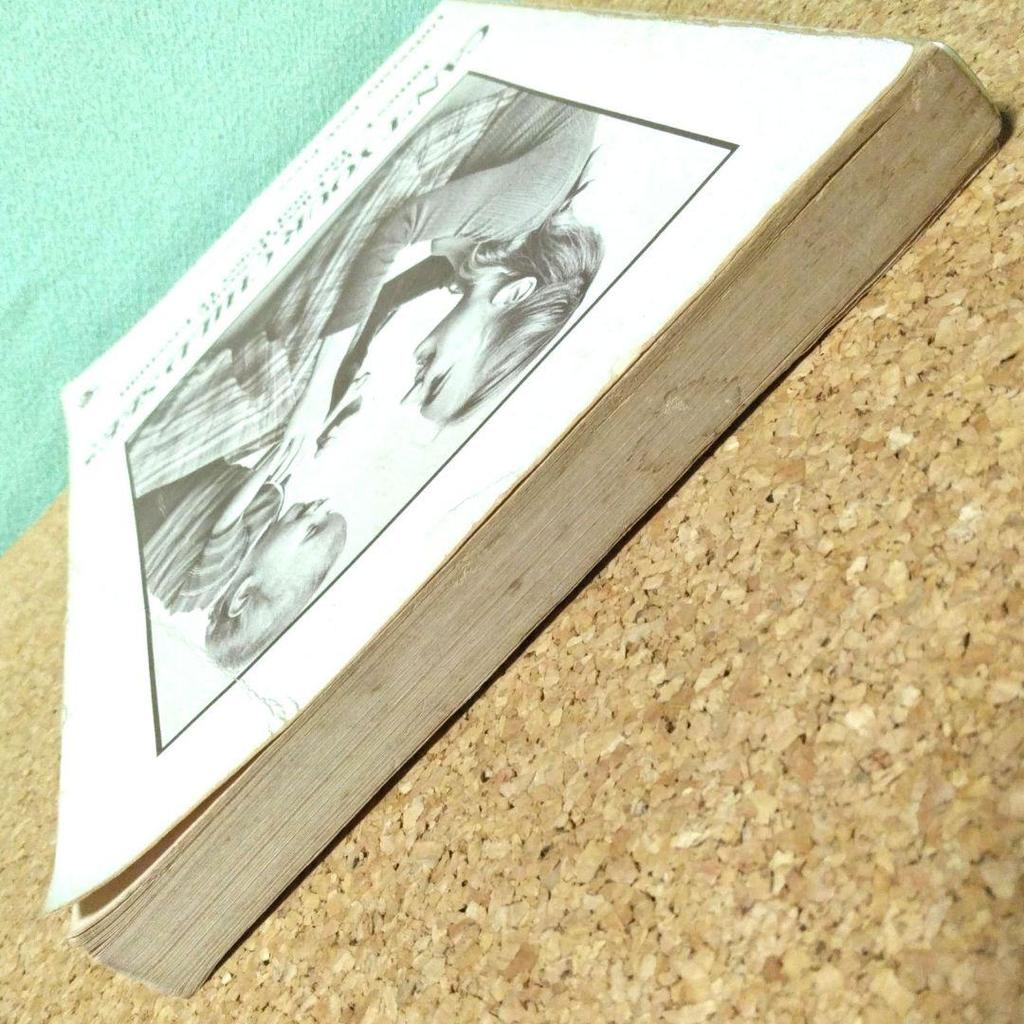 [USED] Foreign Books: CAN'T YOUR CHILD SEE? A Guide to Supporting Visually Impaired Children