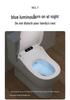 Automatic Smart Toilet Seat with Instant Heating and Constant Temperature