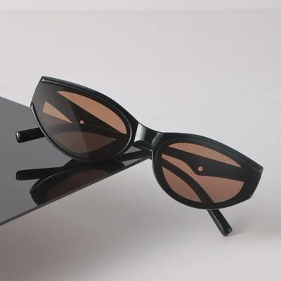 Cat Eye Sunglasses Women Men Vintage Stylish Mirror Minimalist Lens Sun Glasses Female Male Cool Personality