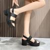 2026 Women's Summer Chunky Heel Platform Sandals with Thick Sole and One Strap