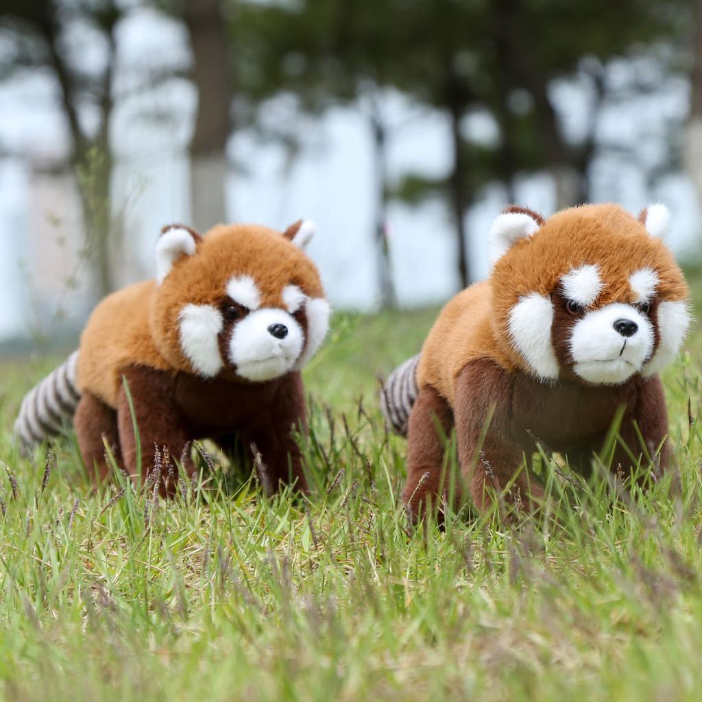 Red Panda Raccoon Animal Plush Fluffy Exterior Children Room Decoration Comfort