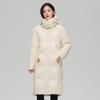 Giacca Invernale da Donna Stile Coreano con Cappuccio e Cappotto Lungo Caldo Largo