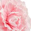 Exquisite Vintage Fascinator Hat Elegant Masquerade Hair Band  Photography