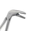 Dental Matrix Halter Forcep Dental Kieferorthopädische Matrizen Forcep Matrizen Platzierung Pinzette Spitze mit T/C oder edelstahl Zahnarzt Chirurgische Instrument