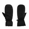 Nevica Meribel Logo Ski Mittens