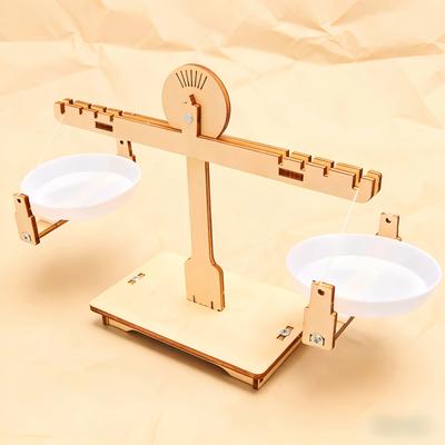 DIY Balkenwaage - Pädagogisches MINT-Spielzeug für Kinder, Praktische Physik-Experimentierwerkzeuge, Ideale Geschenke zum wissenschaftlichen Lernen für Kinder