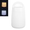 Toddler Portable Night Light 3 Colors Dimmable Timer Remote Control Soft Eye Caring Breastfeeding LE
