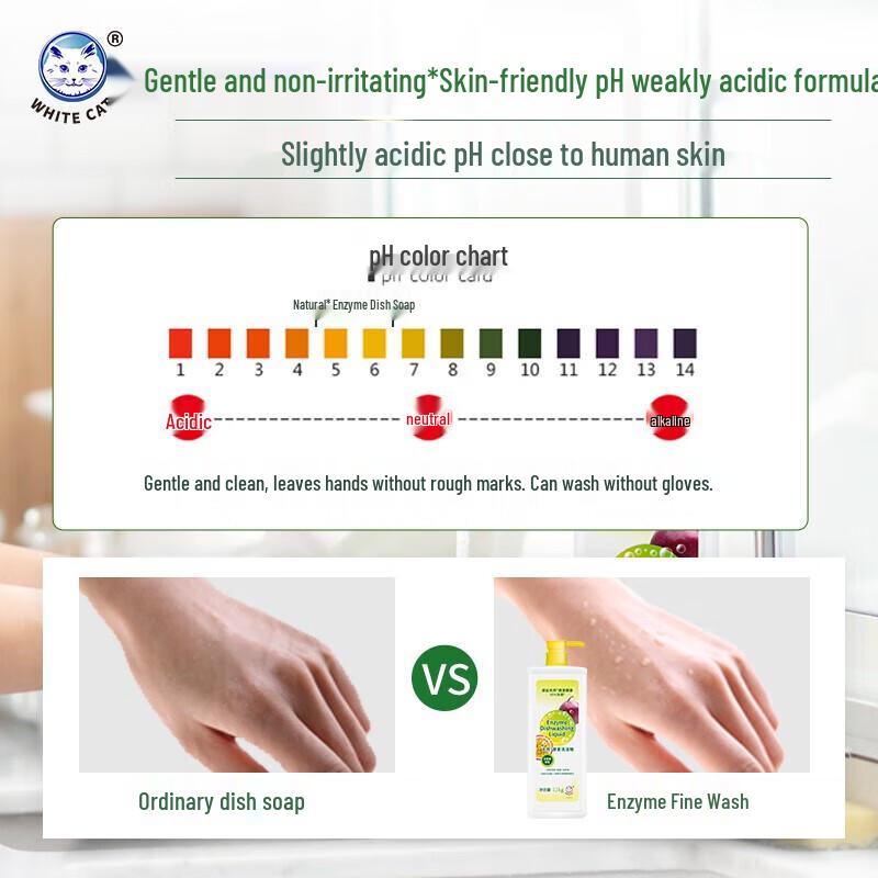 White Cat Soda/Enzyme Dish Soap & Floral Hand Soap Set