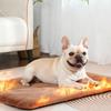 Winter Pet Self-Heating Pad Warm Aluminum Foil Dog Sleeping Pad Soft Nest Mat Seat Cushionfor Small Medium Dogs Cats