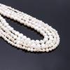 10-65Pcs Natural Freshwater Pearls Beads For DIY Necklace Bracelet Earrings Jewelry Making