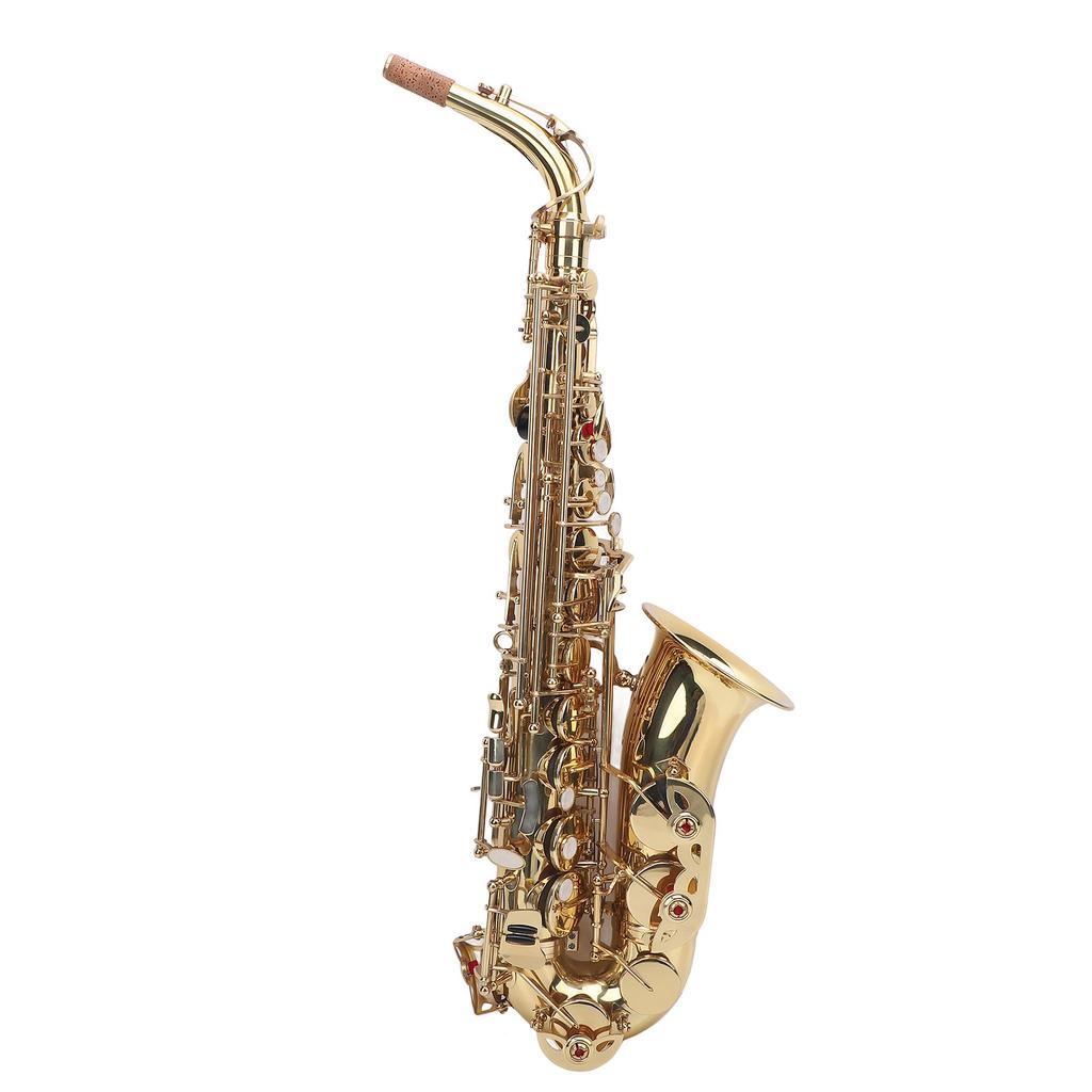 Eb Alto Saxophone Kit Golden Brass Engraving Curved Neck Saxophone Wind Instrument for All Players