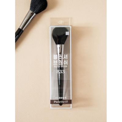 Daiso Palette 17 Blush Brush