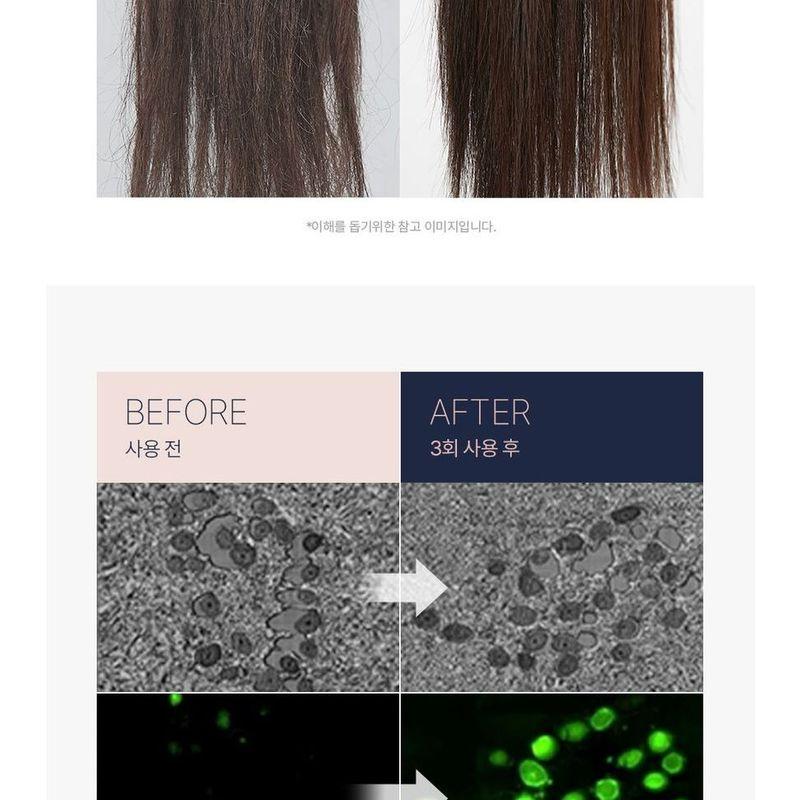 Kose Predia Fungo Head Cleanse SPA+ Trial Pack