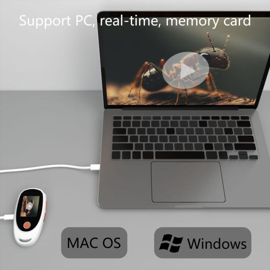 Dětský digitální mikroskop 500X Mini přenosný kapesní mikroskop s kamerou s 2palcovým IPS displejem, vestavěných 8 LED, vzdělávací vědecký experiment, zvětšování