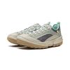 Li Ning Outdoor CF Tracing Low top Mountaineering Hiking Shoes Women's Green Gray AHCW044-5