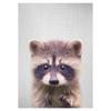 Realistic Furry Animals Cute Prints Poster Canvas Painting Hd Modern Wall Art Pictures For Living Room Bedroom Home Decoration