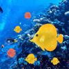 Colorful Luminous Tropical Fish Aquarium Decorations: Silicone Goldfish, Angelfish, and Blue Tang