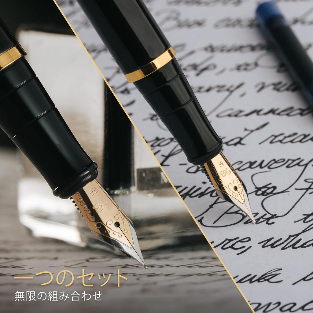 Wordsworth Black Fountain Pen Set with 18K Gold Medium and Extra Fine 25ML Black Ink 6 Ink Ink Refill Gift Pen Gift for Men and Women & Nibs, Bottle,