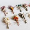 Mini Bouquet of Mixed Natural Dried Flowers: Preserved Gift Box for DIY and Decorations