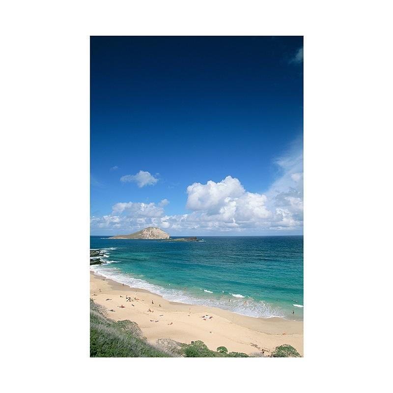 Beach Photography Background Seascape Sunset Studio Photo Backdrop Vinyl,for Home Decor,Parties,Studios,Outdoor Celebrations,Wedding