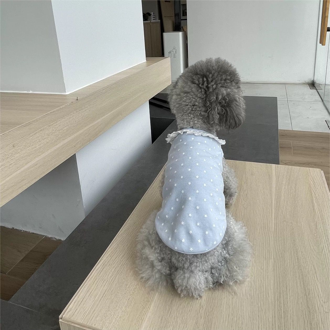 

Домашний жилет из чистого хлопка в горошек с кружевом, милая одежда для питомцев, кошка, собака, одежда для собак, плюшевый мишка, йоркширский терьер, весна/лето, жилет для собак XL