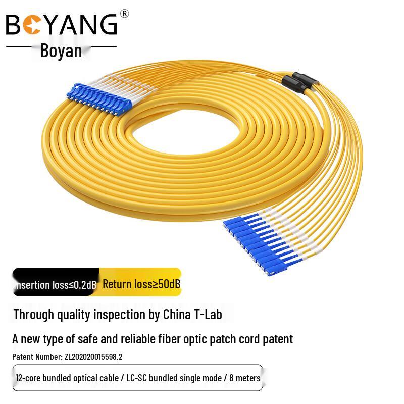 Boyang 12-Core Single Mode LC-SC Fiber Optic Patch Cable