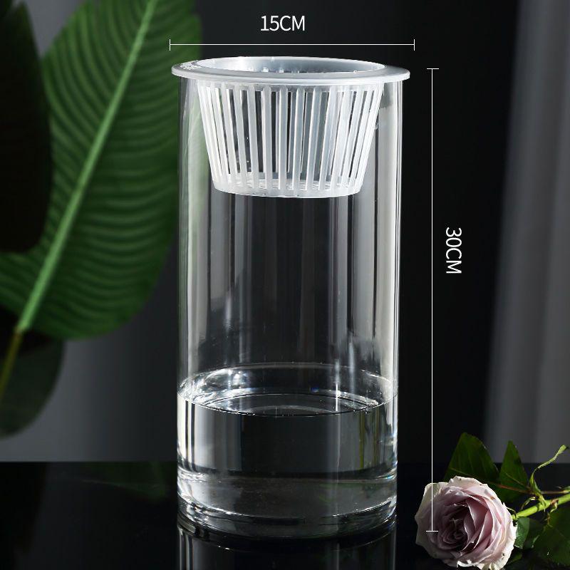 Hydroponic Glass Cylinder Vase for Pothos & Peace Lily - Transparent Water Culture Container with Free Shipping.