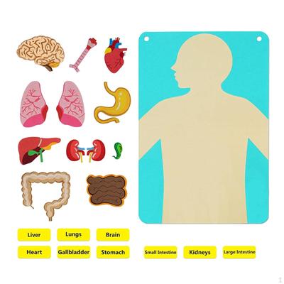 Geliştirici ve Eğitici Oyuncaklar – Eğitici Oyuncaklar