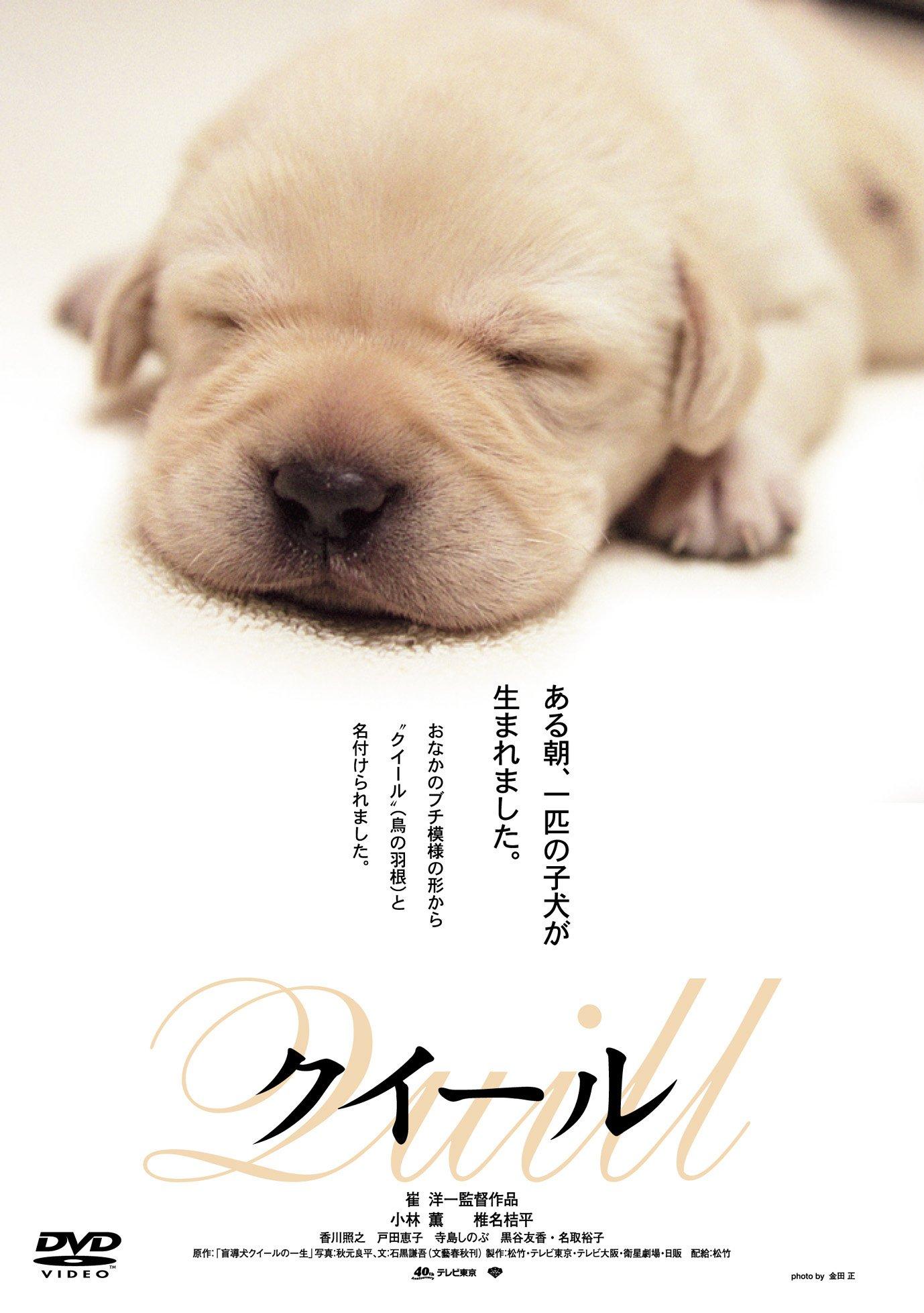 

Those Days Movie Shochiku DVD Collection Quill