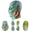 Monster Mensch Fischkopf Maske Mit Latexmaterial Für Rollenspiele Und Festivalkostüme