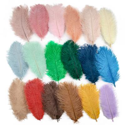 10 stuks veelkleurige struisvogelveer Bruiloft Huis Carnaval Decoratie Tafeldecoraties 15-20cm 20-25cm 30-35cm Veren Voor Knutselen