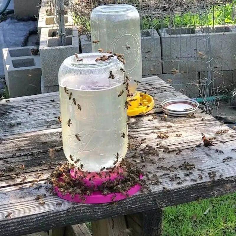 Bee Feeder Base For Regular Mouth Mason Jar, Bee Watering Station, Bee Base For Garden, Bee Cups Water Base For Been